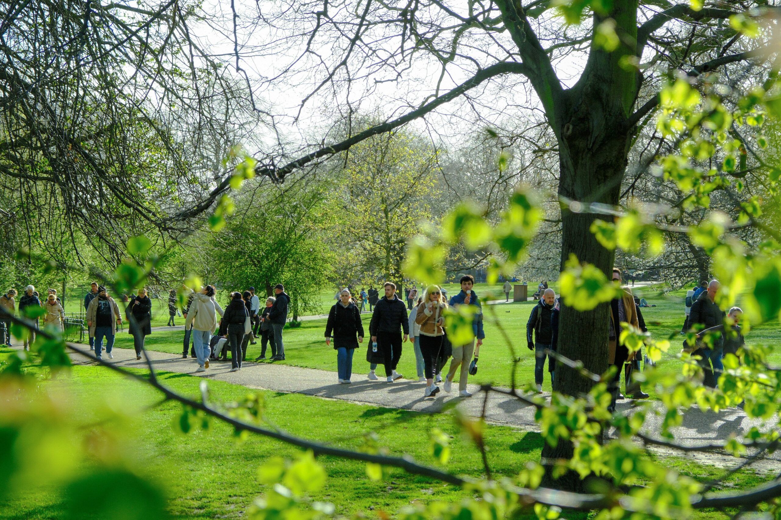 A group of of people walking in a park. Our team of registered dietitians in Raleigh, NC can help you build a healthy relationship with food. Call us today to get started.